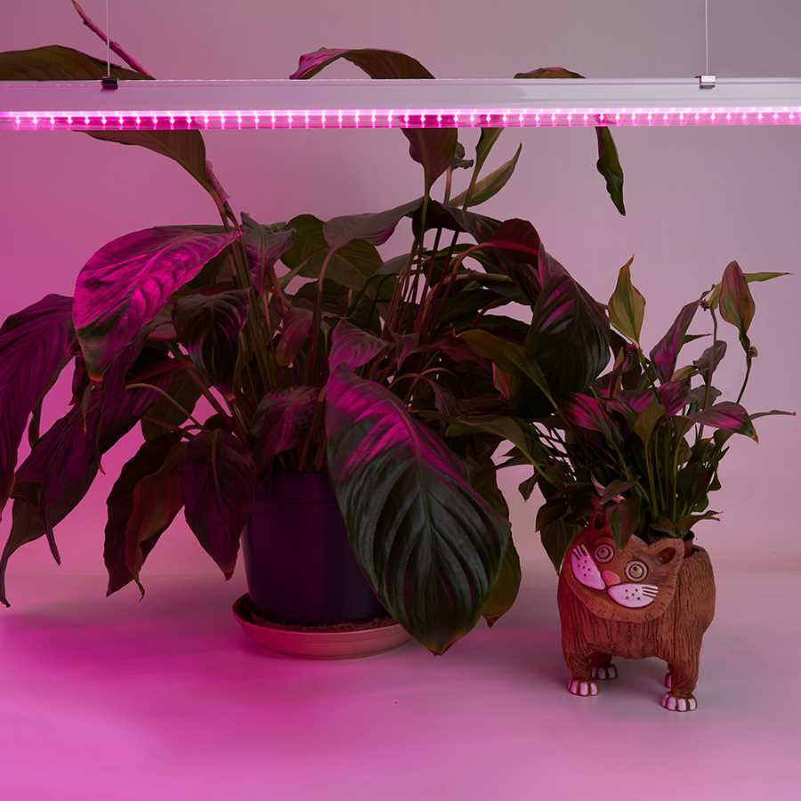 Светодиодный светильник для растений Feron AL7001 41351