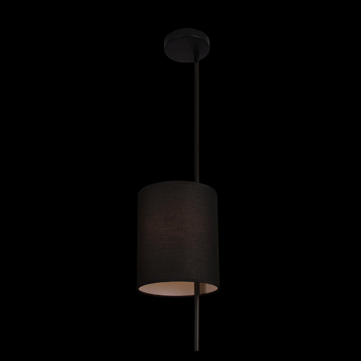 Потолочный светильник Loft IT Ritz 10253P Black