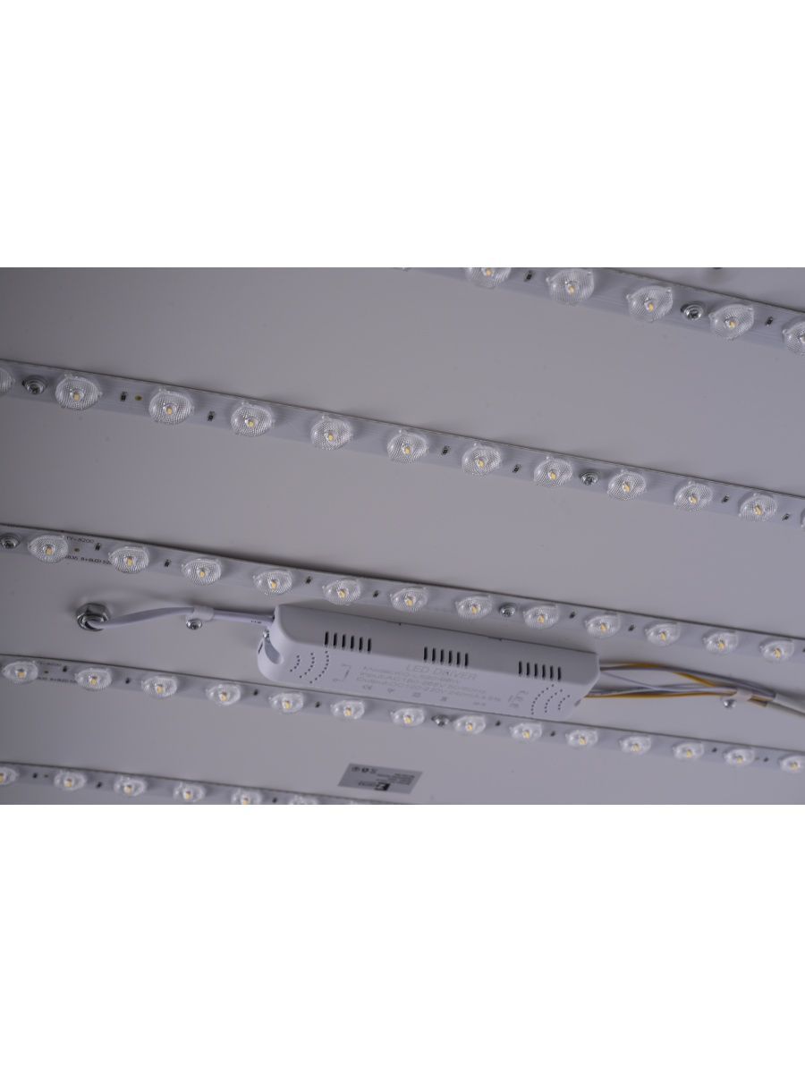 Потолочный светильник Zortes Monna ZRS.1209.07