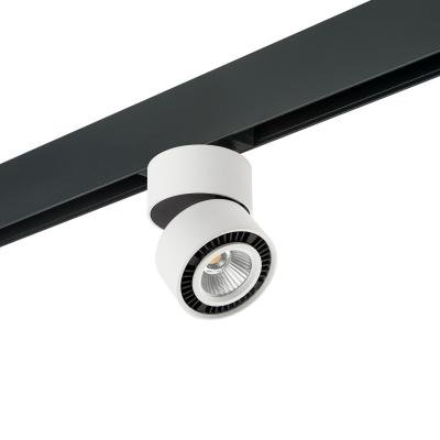 Трековый светильник Lightstar Forte Muro PRO213816 (595061+213816)
