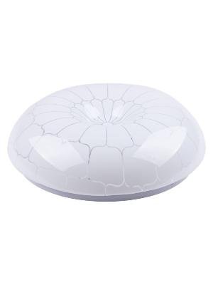 Настенно-потолочный светодиодный светильник TDM Electric Паутина LED СПС 03 SQ0329-0173