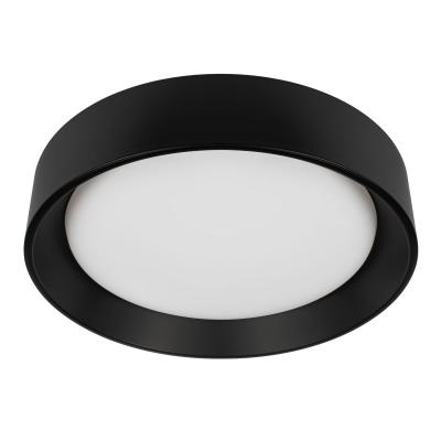 Потолочный светильник Loft IT Coin 10202 BB