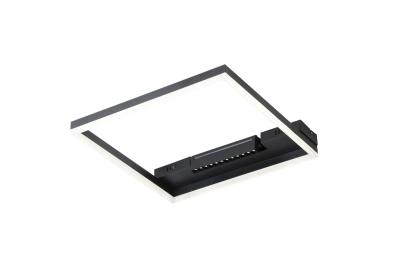 Потолочный светильник Freya Frame FR6084CL-L82B