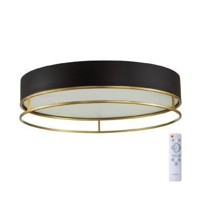 Потолочный светильник Sonex Lofty 7723/100L