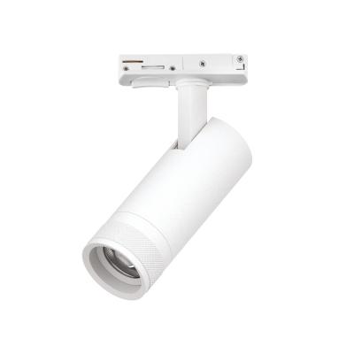 Трековый светильник для однофазного/трехфазного шинопровода Barra 20-55G с тонким адаптером Lightstar Canno Pro C4126SS