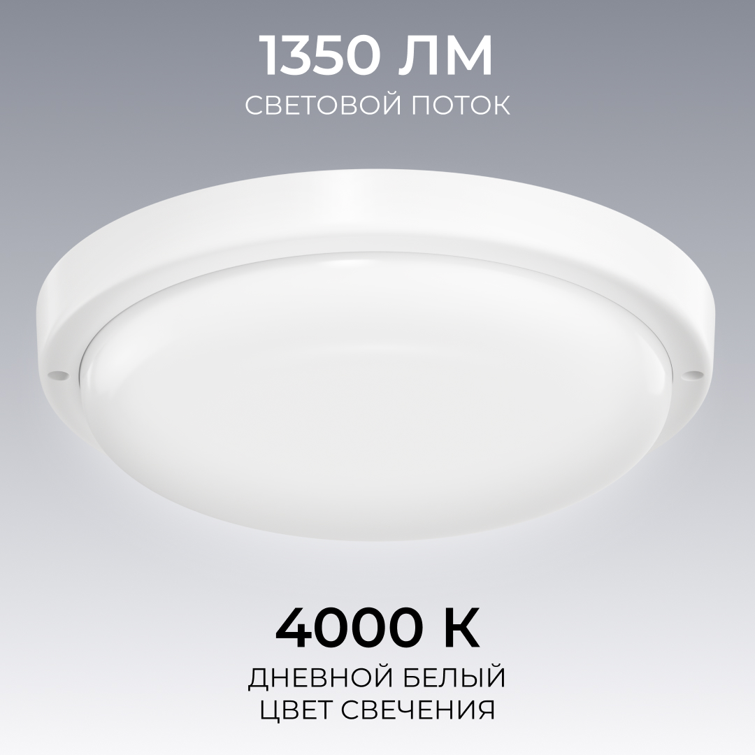Светильник светодиодный герметичный OGM О28-09