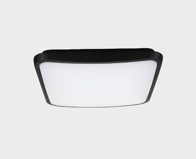 Уличный потолочный светильник Italline IT6012