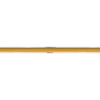 Светодиодная лента Arte Lamp Lane 24В 10Вт/м 2900/3100K 5м IP20 A2432005-01-3K