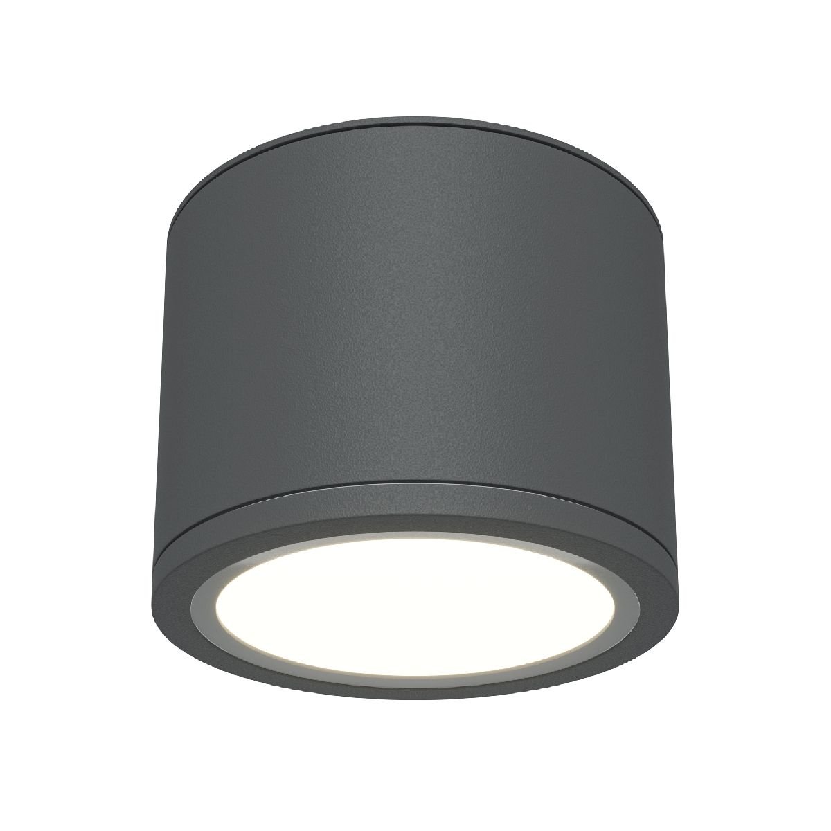Накладной светильник Maytoni Rendo C095CL-GX53-GR