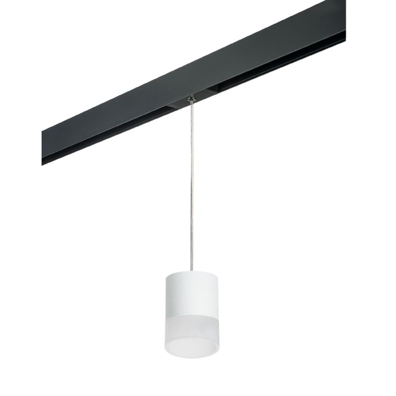 Трековый однофазный светильник Lightstar Rullo (213486+595887+202481) PRORP348681