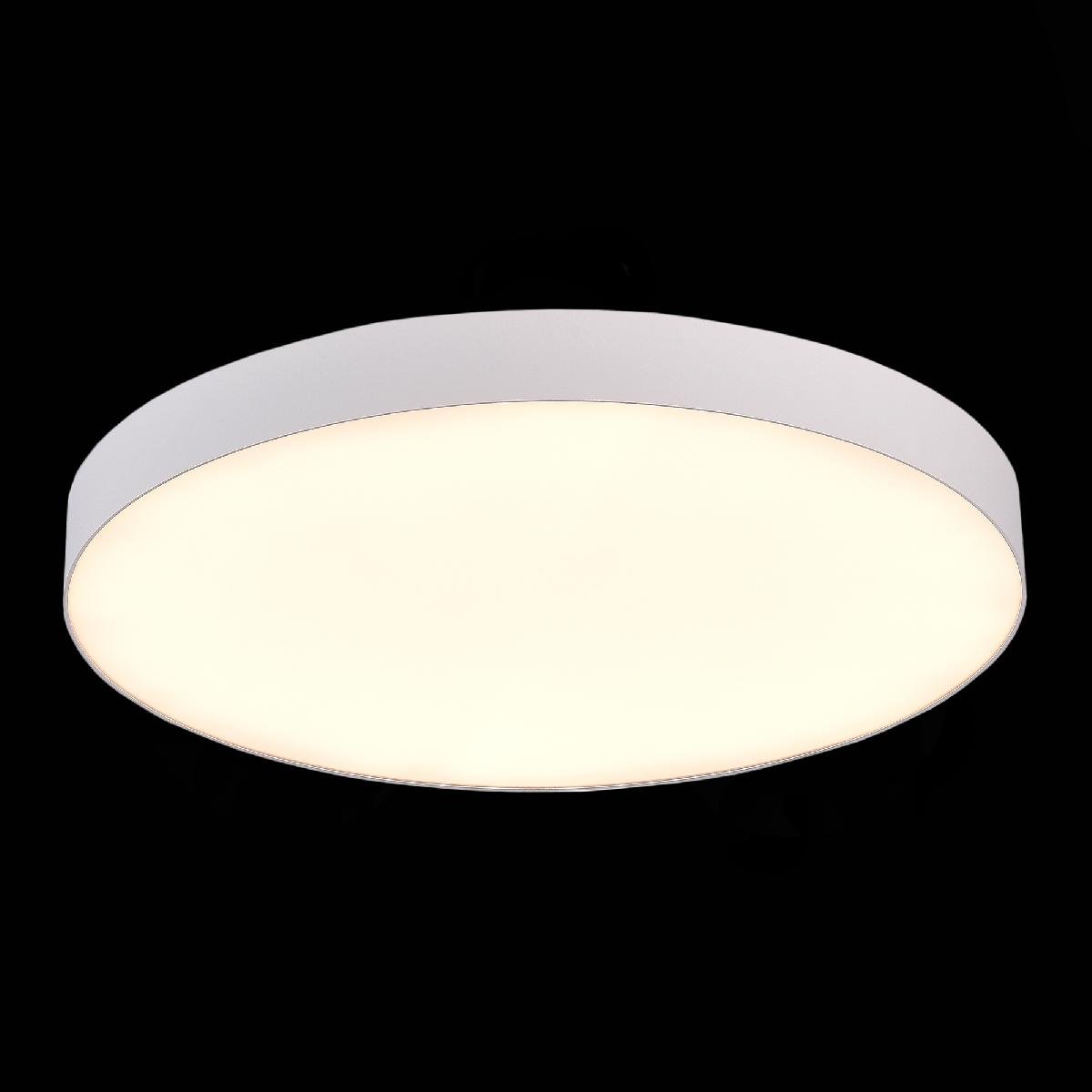 Потолочный светильник ST Luce ST606.532.96