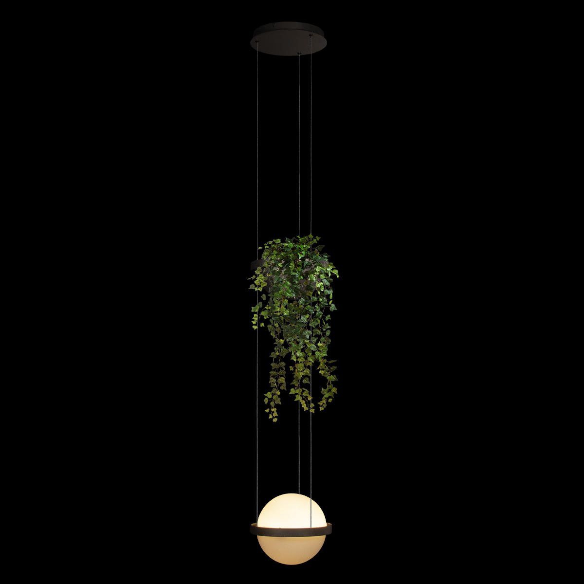 Подвесной светильник Loft IT Jardin 10121/1P Dark grey