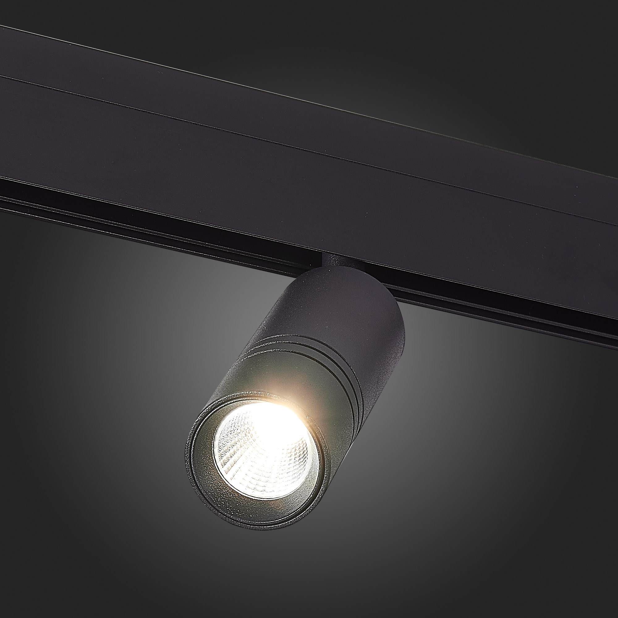 Трековый светильник ST Luce Lemmi ST365.446.12