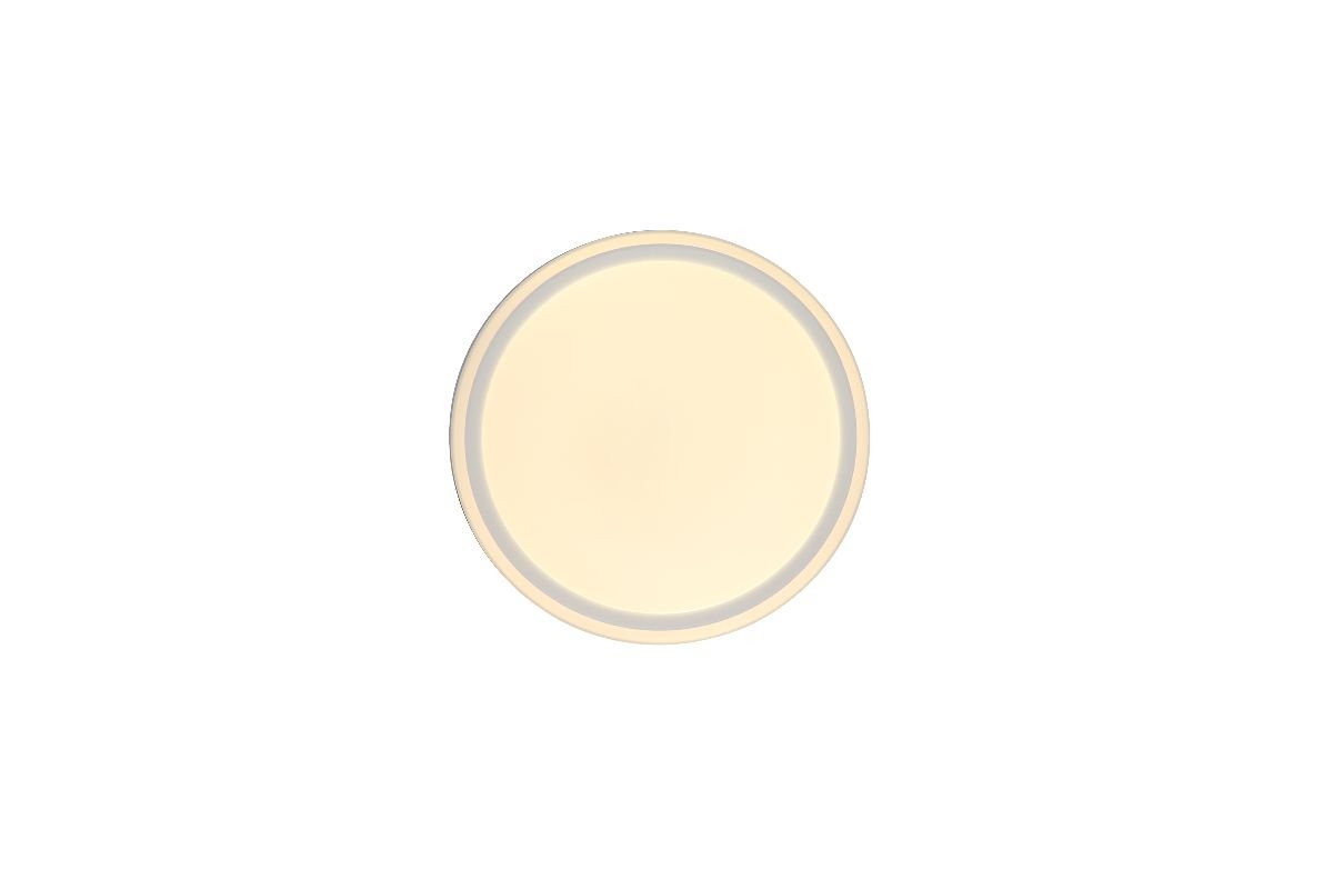 Потолочный светильник Zortes Bella ZRS.1200.04