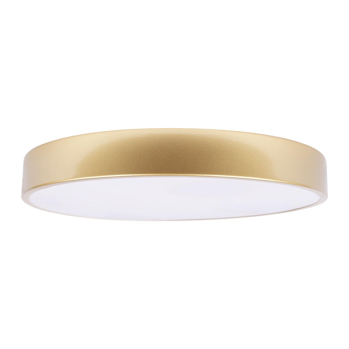 Потолочный светильник Loft IT Flims 10228/A