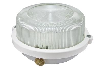 Настенно-потолочный светильник TDM Electric НПП 03-100-005.03 SQ0311-0003