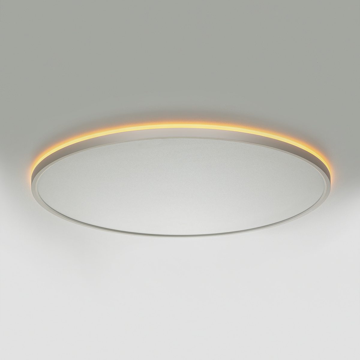 Потолочный светильник Citilux Norma LED RGB CL749600