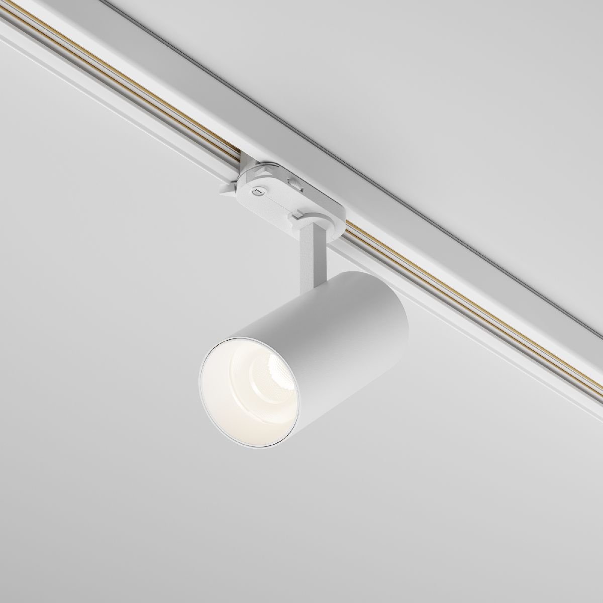 Трековый трехфазный светильник Maytoni Focus Led TR197-3-12WCCT-M-W