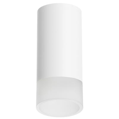 Накладной светильник Lightstar Rullo R43631 (214436+202431)