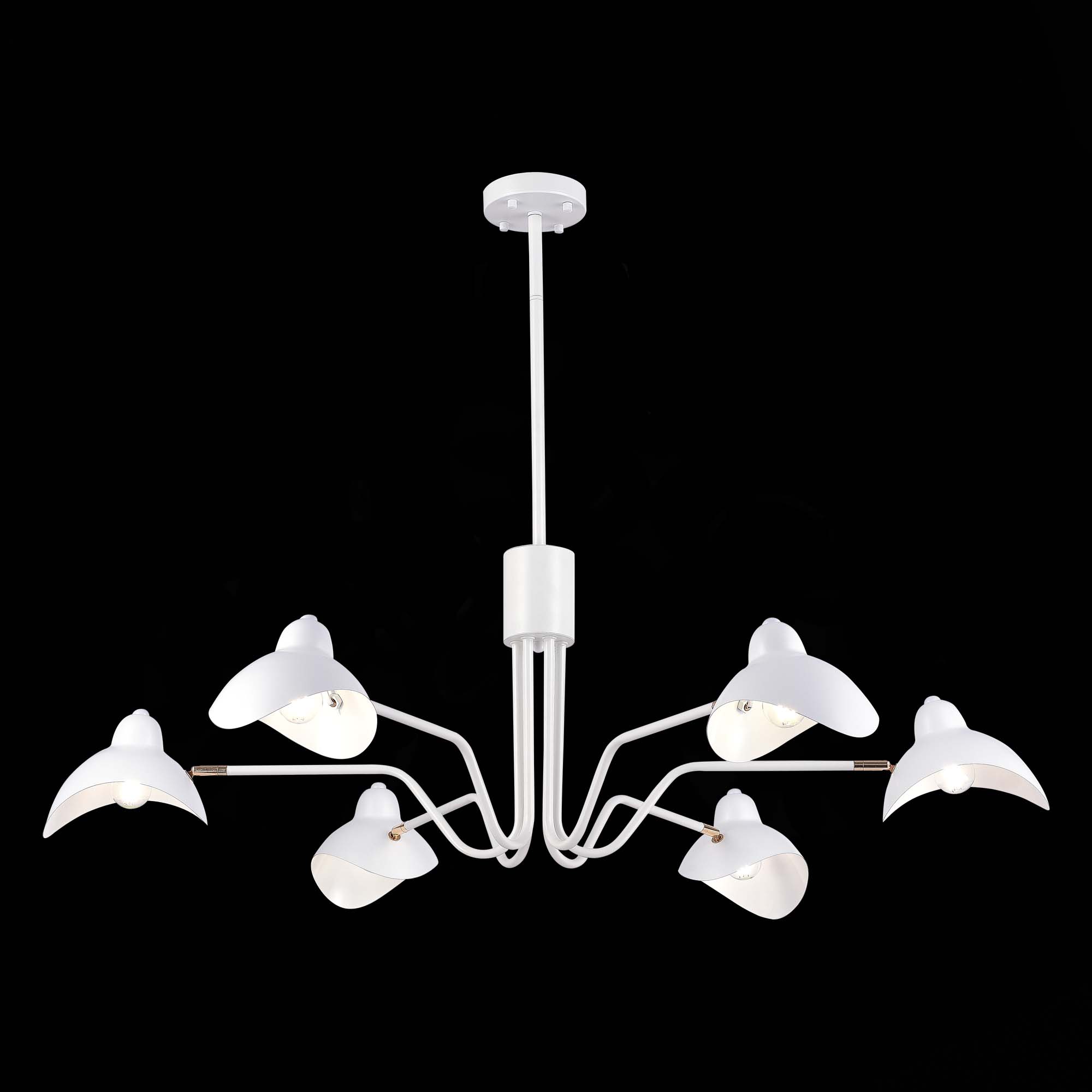 Люстра на штанге ST Luce Minne SL1801.513.06