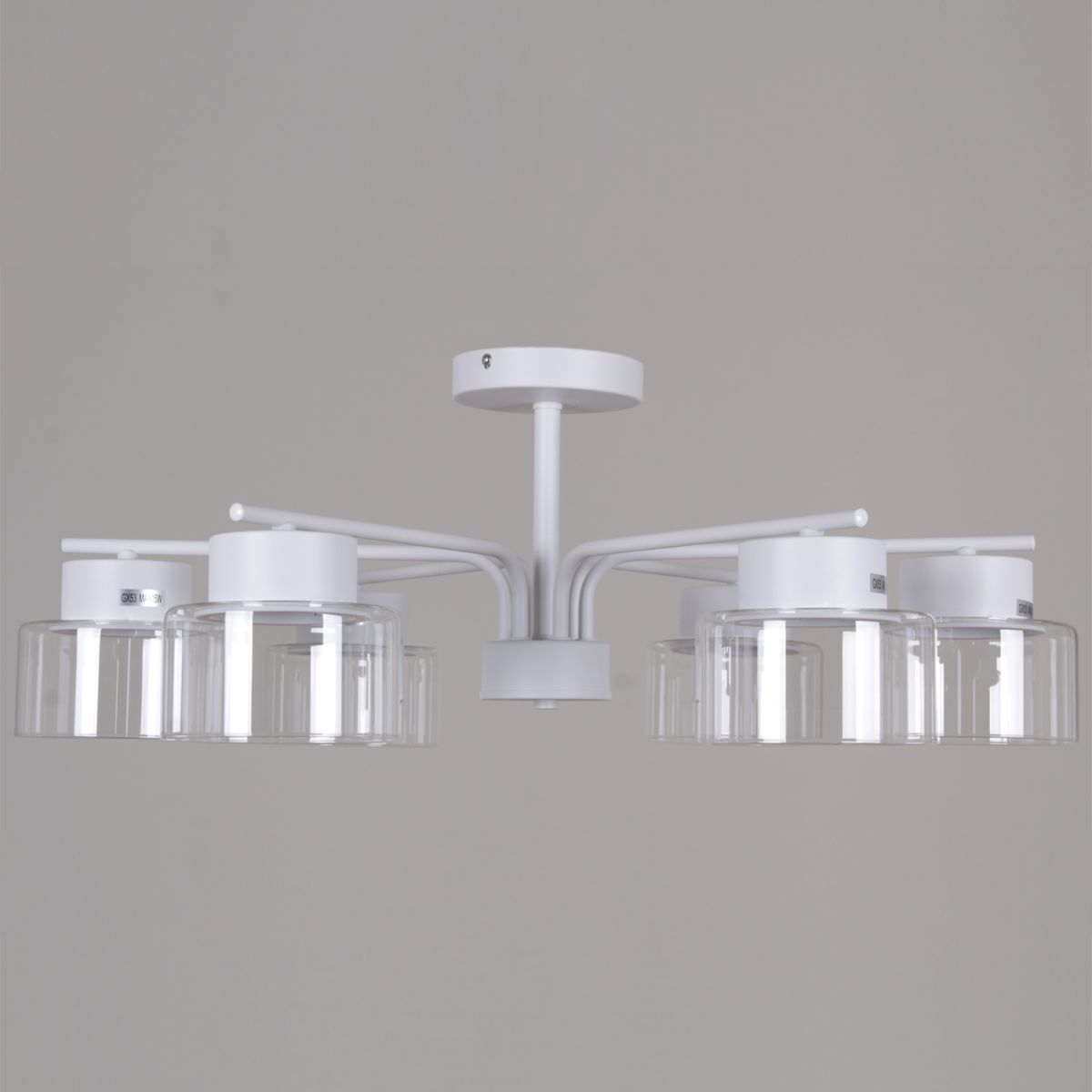 Люстра на штанге Reluce 48010-0.3-06 WT