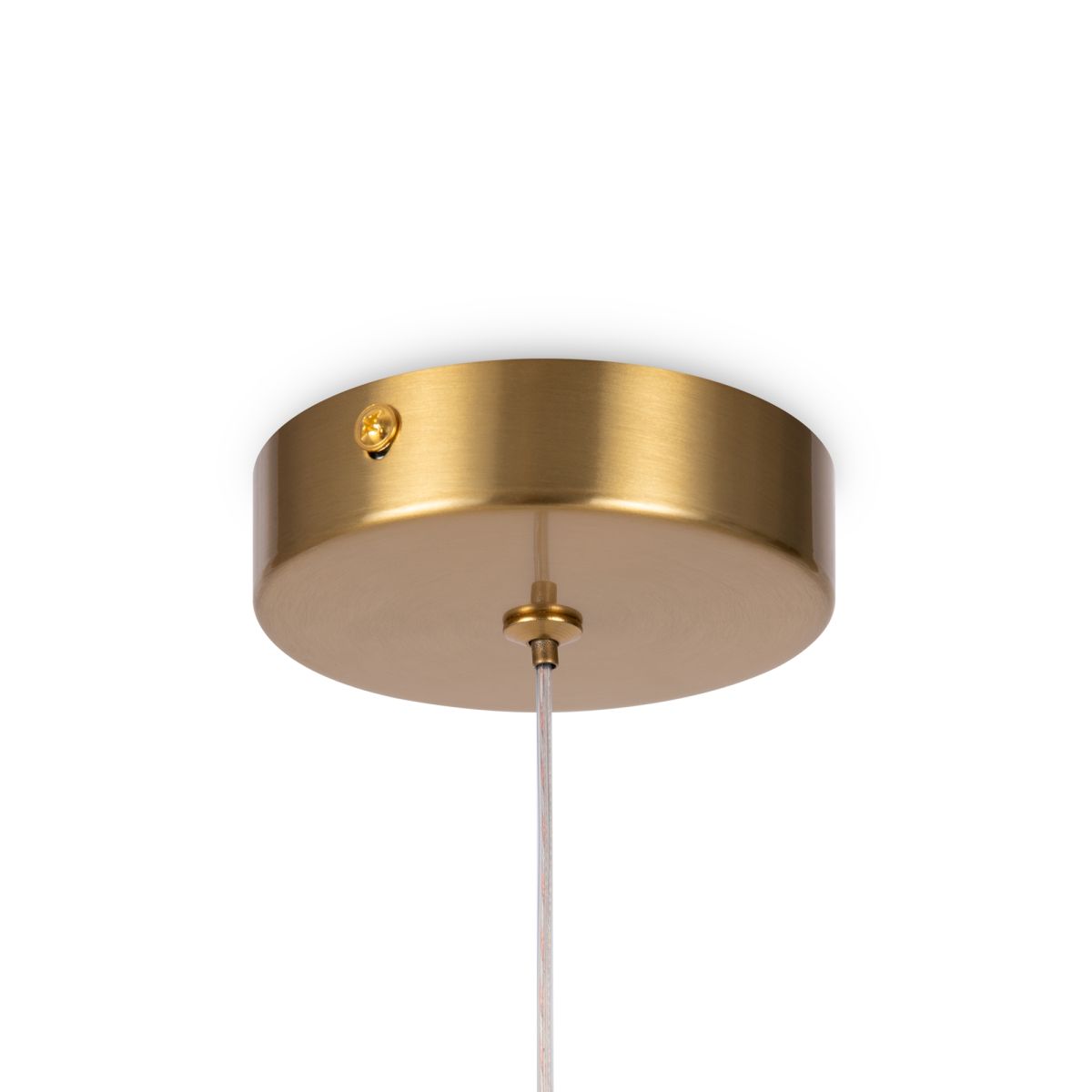 Подвесной светильник Freya Magnet FR6106PL-L13G