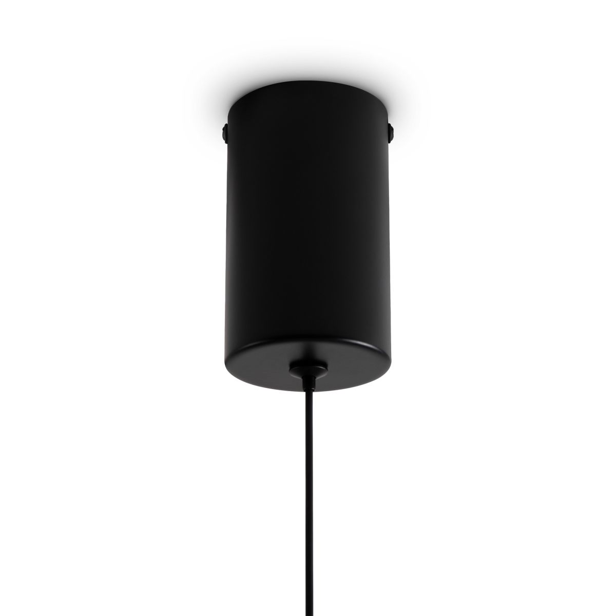 Подвесной светильник Freya Curl FR5624PL-L9TR