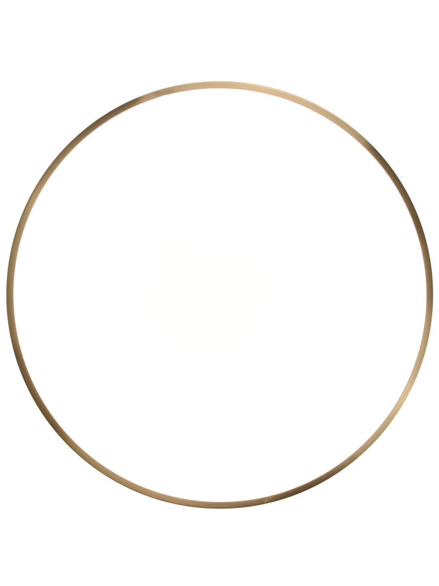 Потолочный светильник Zortes Monna ZRS.1209.12