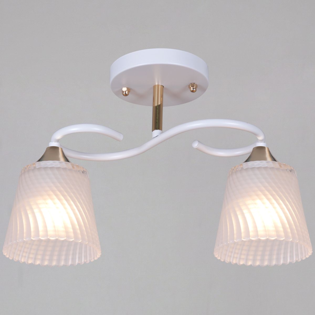 Потолочный светильник Reluce 06360-0.3-02 WH+FG