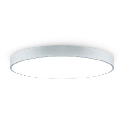 Потолочный светильник Freya Sprida FR6129CL-L80GR