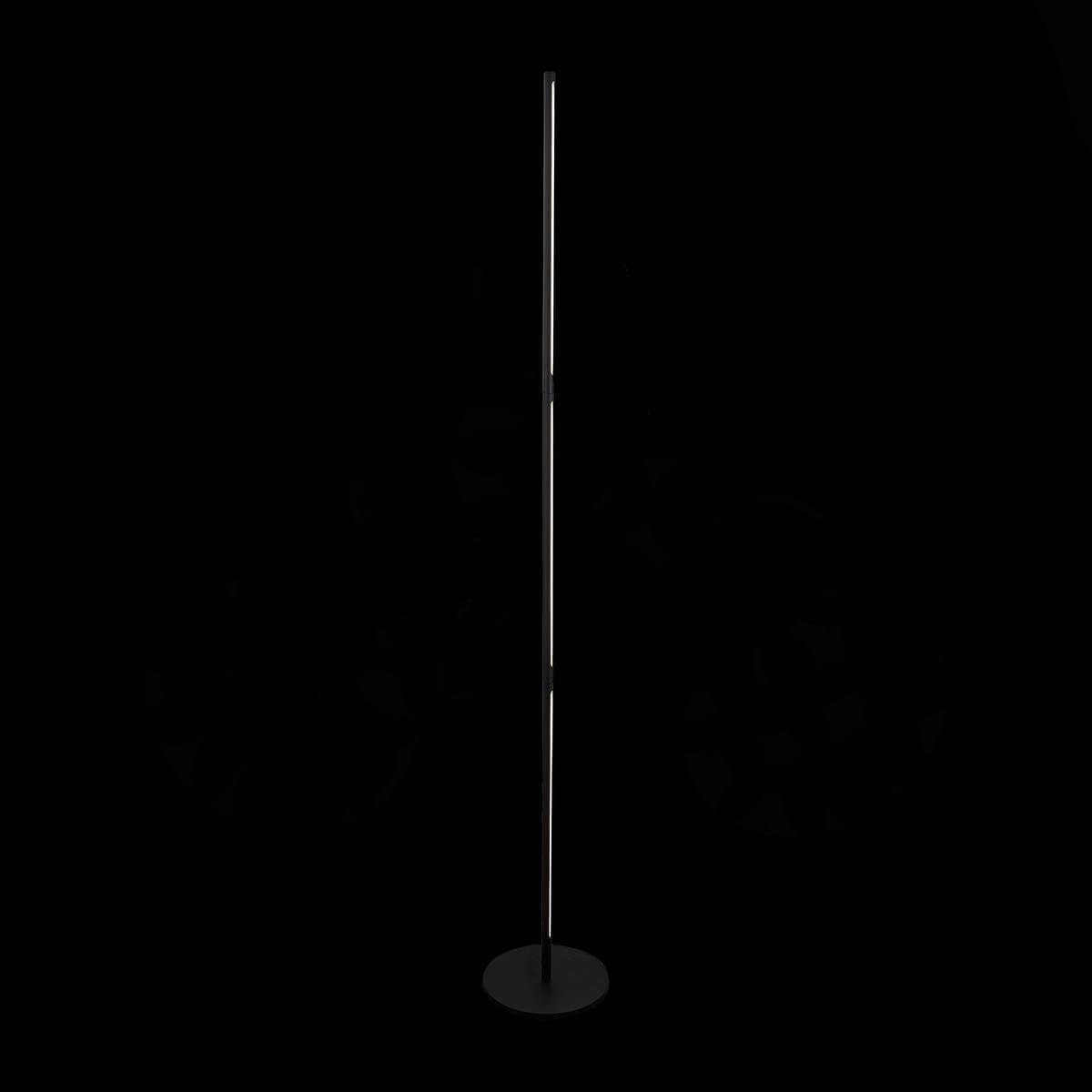 Торшер ST Luce Ralio SL1580.405.01 - Elektrostandard.net Торшер ST Luce Ralio SL1580.405.01