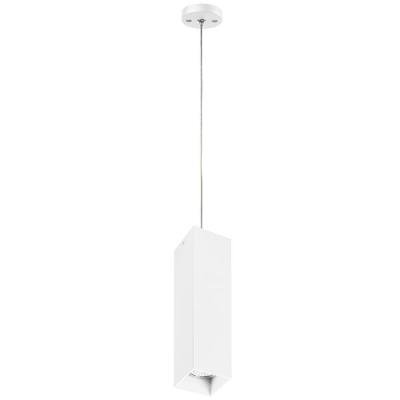 Подвесной светильник Lightstar Rullo (216396+590256) RP6396