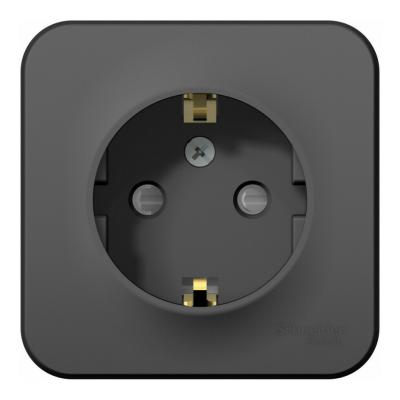 Розетка с/з со шторками, 16А, 250В Systeme Electric Blanca наруж Антрацит BLNRA011106