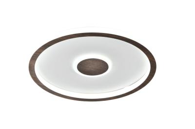 Потолочный светильник Freya Freya Orbit FR5421CL-L80BR