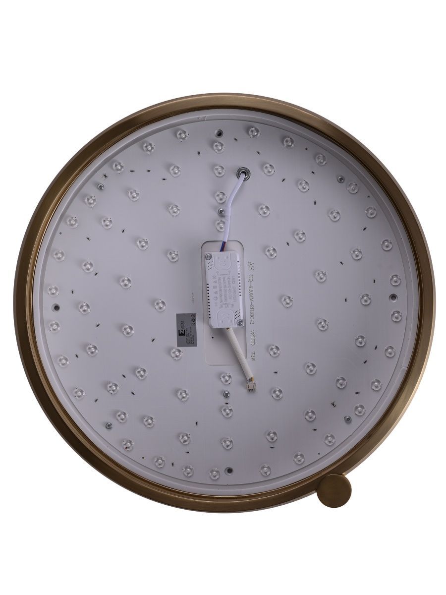 Потолочный светильник Zortes Gimpel ZRS.1209.17