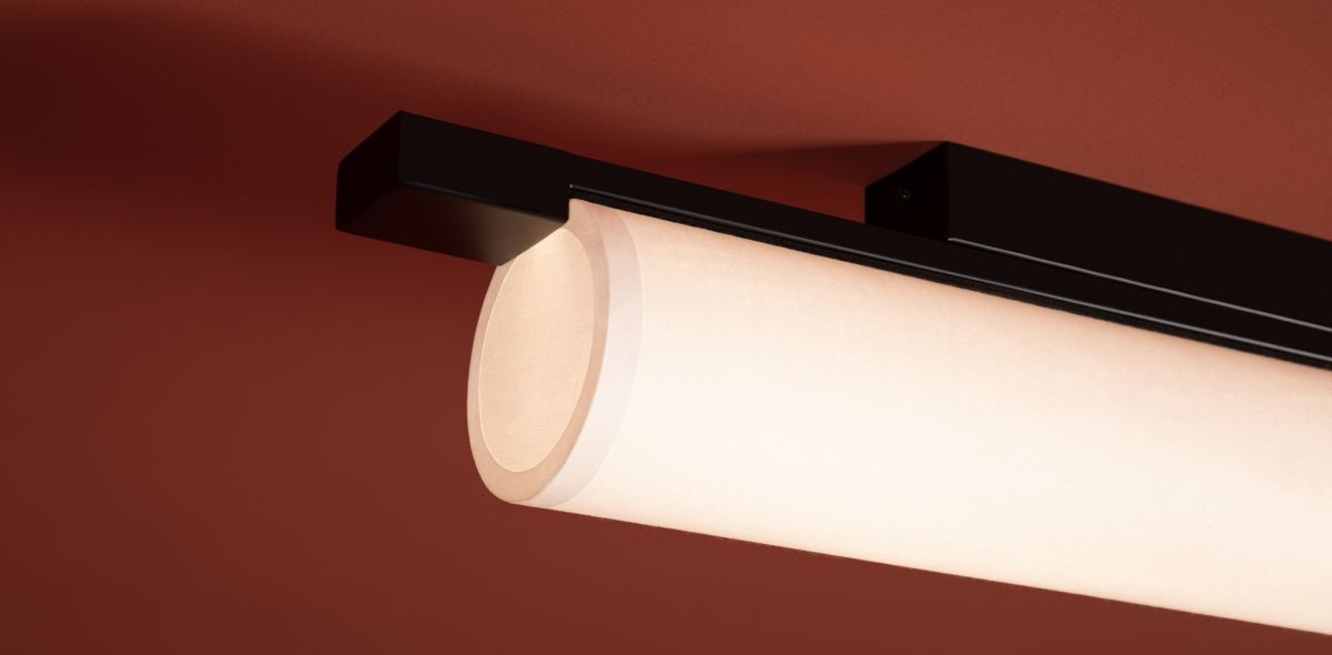 Потолочный светильник Freya Even FR5625CL-L20B