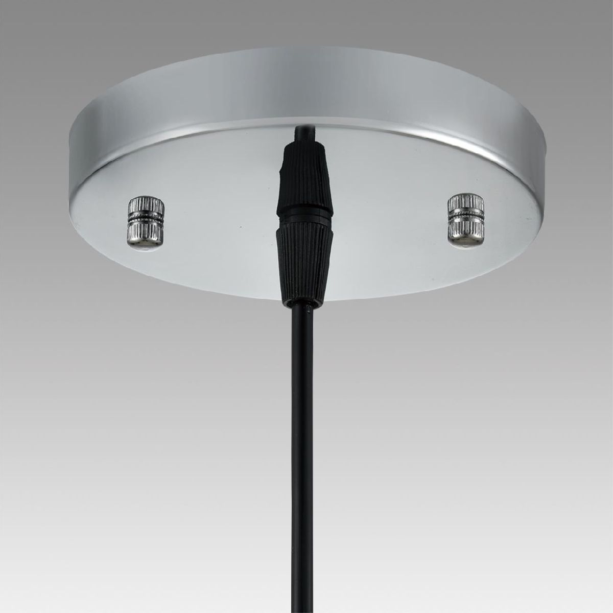 Подвесной светильник Lumion Suspentioni Manola 8049/1A