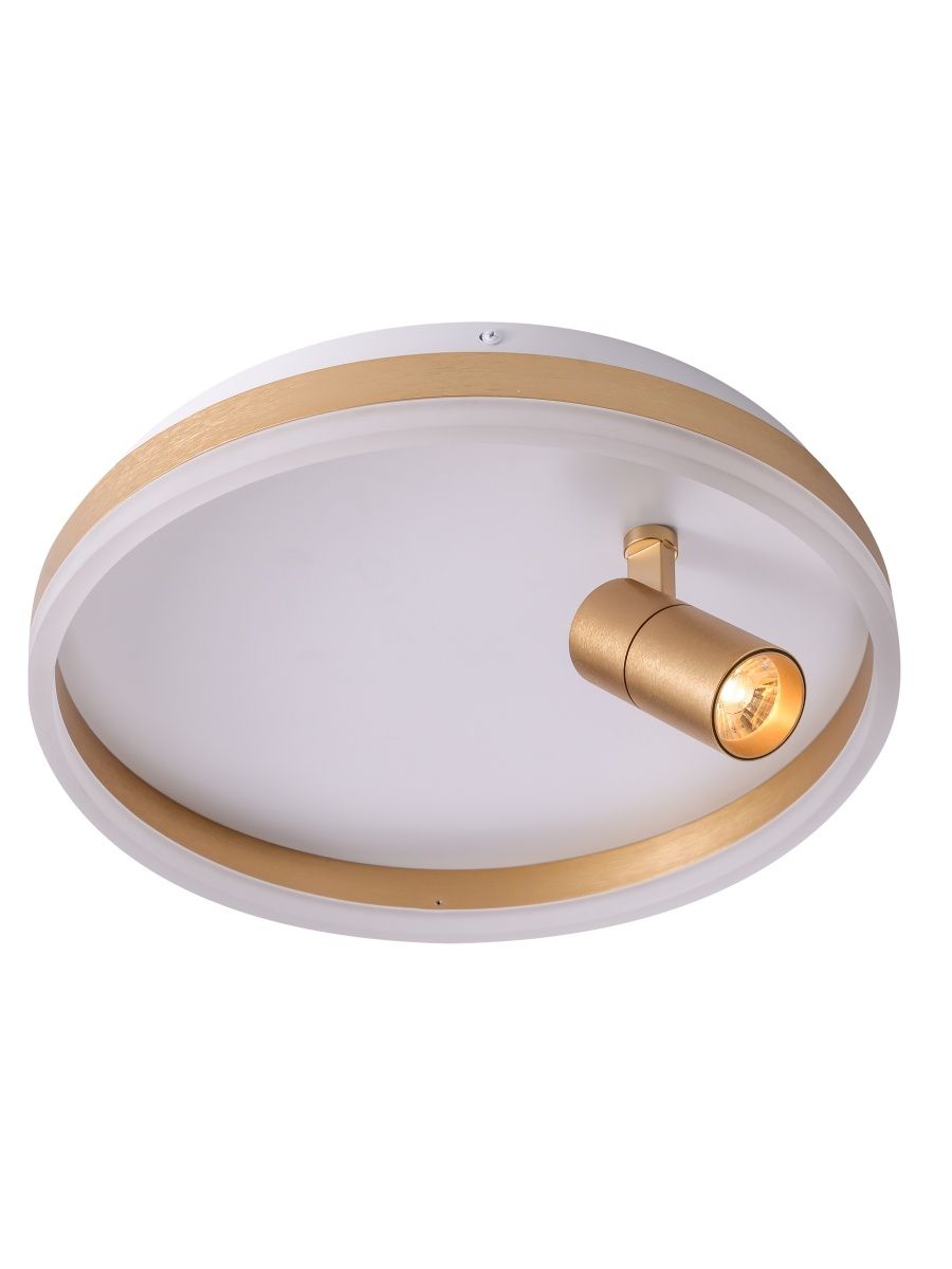 Потолочный светильник Zortes Raizy ZRS.1888.04