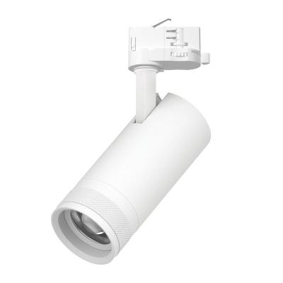 Трековый трехфазный светильник Quattro 20-55G с адаптером Lightstar Canno Pro C4206QT