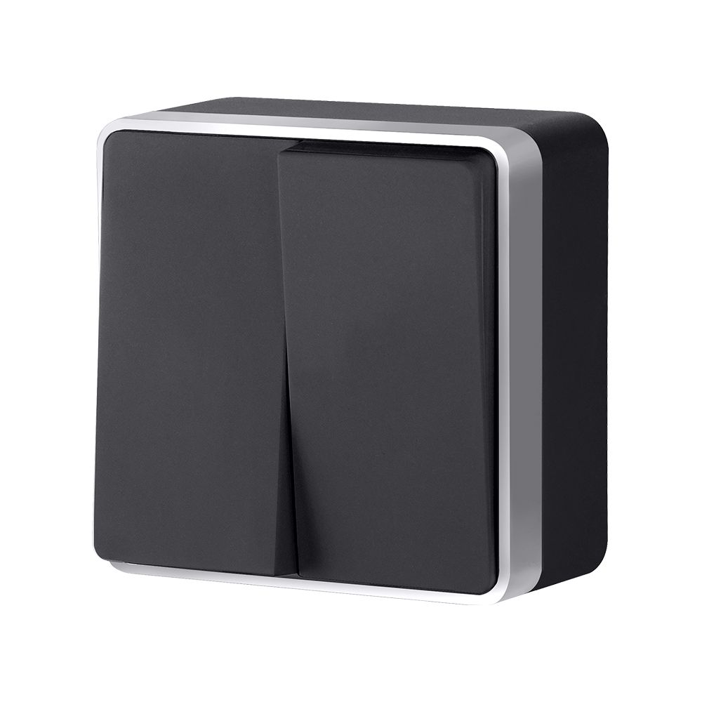 Выключатель двухклавишный Werkel Gallant (черный с серебром) W5020034 4690389164156 a050889