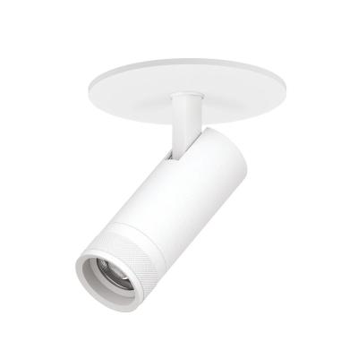 Встраиваемый светильник 20-55G с адаптером Lightstar Canno Pro C4126RS